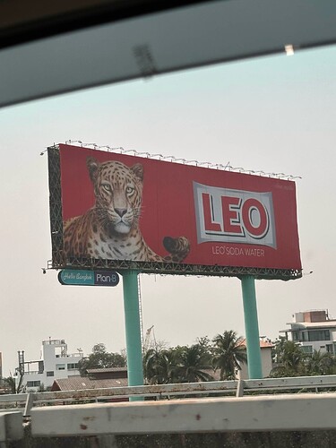 Article content, 50%